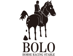 BOLO - HORSE RACING PRODUCTS -